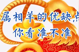 属相羊的优缺点，你看准不准视频封面