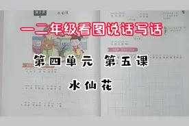一二年级看图说话写话 第四单元 第五课 水仙花  点赞收藏吧视频封面