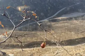 陕北黄土高原冬夏对比视频封面