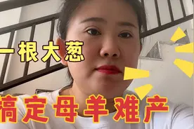 母羊羊水破了，小羊生不出来简单好用的几种方案