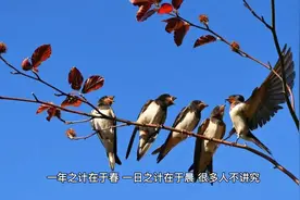 这些晦气事，早上千万不能做！