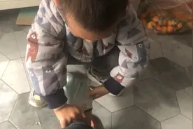 我的男孩长大了，早上给妈妈穿袜子，下午自己打针视频封面