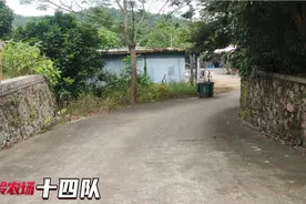 海南，黄岭农场14队，这里有很多广东人，连队人每天讲广东话视频封面