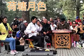 器乐合奏《荷塘月色》视频封面