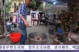 铁锅炖蟒蛇 把巨蟒做成阿胶视频封面