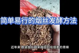 简单易行的烟丝发酵方法视频封面