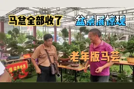 盆景展上面有一人特像马云，很有实力，把南通雀舌罗汉松盆景包圆视频封面