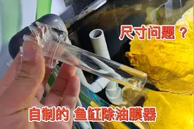 鱼缸里一直会飘着一层油膜？自制一个除油膜器，便宜效果又很好！视频封面
