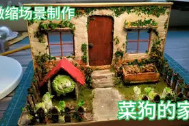 小姐姐手工制作一个微缩森系农村小院，给菜狗做一个家吧!视频封面