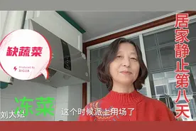 居家静止九天没买菜，冻菜来替代，七棵白菜好羡慕，爱吃乾隆白菜视频封面