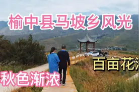 兰州市榆中马坡乡百亩花海，五，六月观赏最佳。9月只能看到秋色视频封面