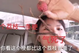 买荔枝买到一肚子火，气人呀！越老越骗人，一个荔枝一条梗，心塞视频封面