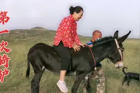 山西姑娘在张家口农村骑毛驴，太搞笑了！牵驴大哥为何还哼小曲？视频封面