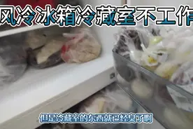 风冷无霜冰箱维修。变温室冷藏室不制冷只有冷冻室能够正常工作。视频封面