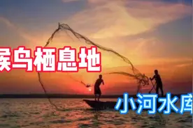 汤阴最大的水库，库容量5615万立方米，候鸟的栖息地！视频封面