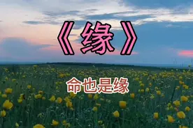 非常好听的歌曲《缘》分享给大家，命也是缘缘也是命视频封面