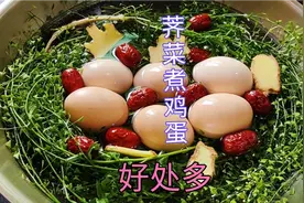荠菜煮鸡蛋，作用实在是太厉害了，省钱又实用，老一辈的吃法真好视频封面