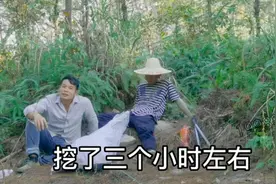 广西两老表壮胆进山挖五指毛桃，狂挖三小时汗流浃背，收获几十斤视频封面