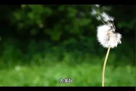自学风水，先看完这三本书#图文成片打卡挑战#视频封面
