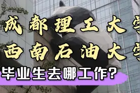 四川高校3:成都理工大学，西南石油大学毕业生去哪工作？就业解析视频封面