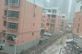 河北省秦皇岛市2022年3月18日下雪了，下的挺大的中雪瑞雪兆丰年视频封面