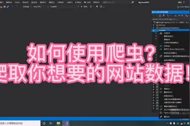 如何制作爬虫，爬取你想要的网站数据！记一次爬虫制作的全过程！视频封面