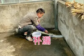 家里房顶漏水，男一号来刷防水涂料，这烦人的问题但愿这次能解决视频封面