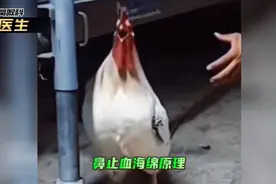鼻止血海绵止血原理视频封面