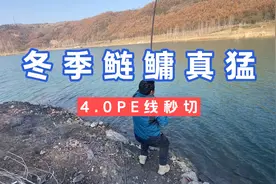 冬季的鲢鳙这么猛吗？4号PE线秒切，痛失巨物！