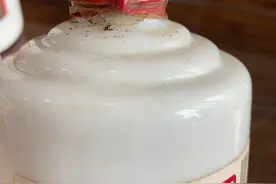 帮帅哥鉴定三瓶茅台 国内版和出口版茅台的区别视频封面