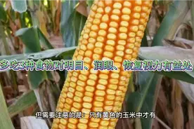 多吃3种食物对明目、润眼、恢复视力有益处！视频封面