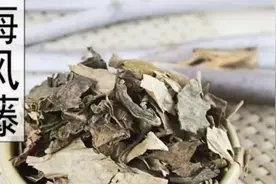 海风藤功效为祛风湿，通经络，理气止痛，作用为治疗风寒湿关节僵视频封面