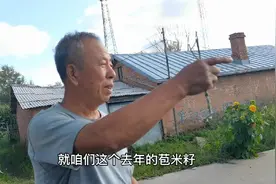 玉米种过一年后结的籽粒还能用做下年的种子吗？颠覆你的认识。视频封面