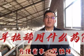 羊拉稀用什么药效果最好最快？教你一个方法，看完就会视频封面