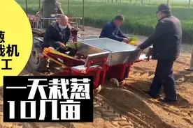 大葱移栽机栽葱试机，种植大葱老板亲自体验，受到葱农连续点赞视频封面