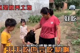 儿媳妇做月子，农村婆婆天天炖鸡汤，吃的儿媳妇听到鸡汤就不想吃视频封面