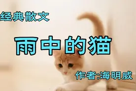 经典散文，《雨中的猫》，作者海明威视频封面