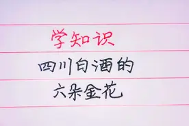 酒文化：四川白酒的“六朵金花”，你喝过几种？视频封面