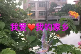 农村风景，高手在民间。自己找亮点。找到告诉我评论区留言。视频封面