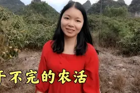 小青家有干不完的农活，都没时间处对象，这样下去也不是办法！视频封面