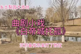 曲剧小戏《汉刘备白帝城托孤》张立成王录庭演唱老腔老调特别好听视频封面