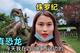 远嫁四川的浙江妹子，参观自贡恐龙园，仿佛看到了几亿年后的人类视频封面