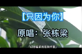 原唱：张栋梁【只因为你】让我的世界从此不一样！这样的你值得！视频封面