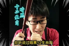 你听说过暗黑十二生肖吗视频封面