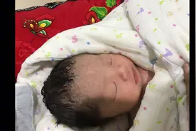 刚生出来的丑娃娃不要扔 慢慢的 要么就习惯了 要么就没那么丑了视频封面