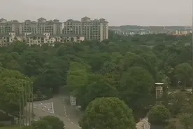 80后富婆的成功是风水大师布置的装修吗？视频封面