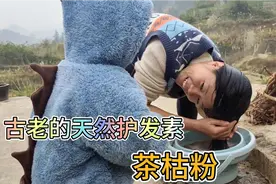 茶枯粉妙用分享，纯天然的护发素，农村60多岁婆婆至今没一根白发