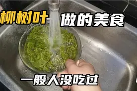 你没吃过的美食！柳树叶这样做太好吃了视频封面