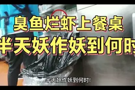 半天妖安徽两烤鱼店被曝“回收垃圾桶食材再上桌” ！视频封面
