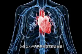 趣味冷知识：为什么心脏不会得癌症？视频封面